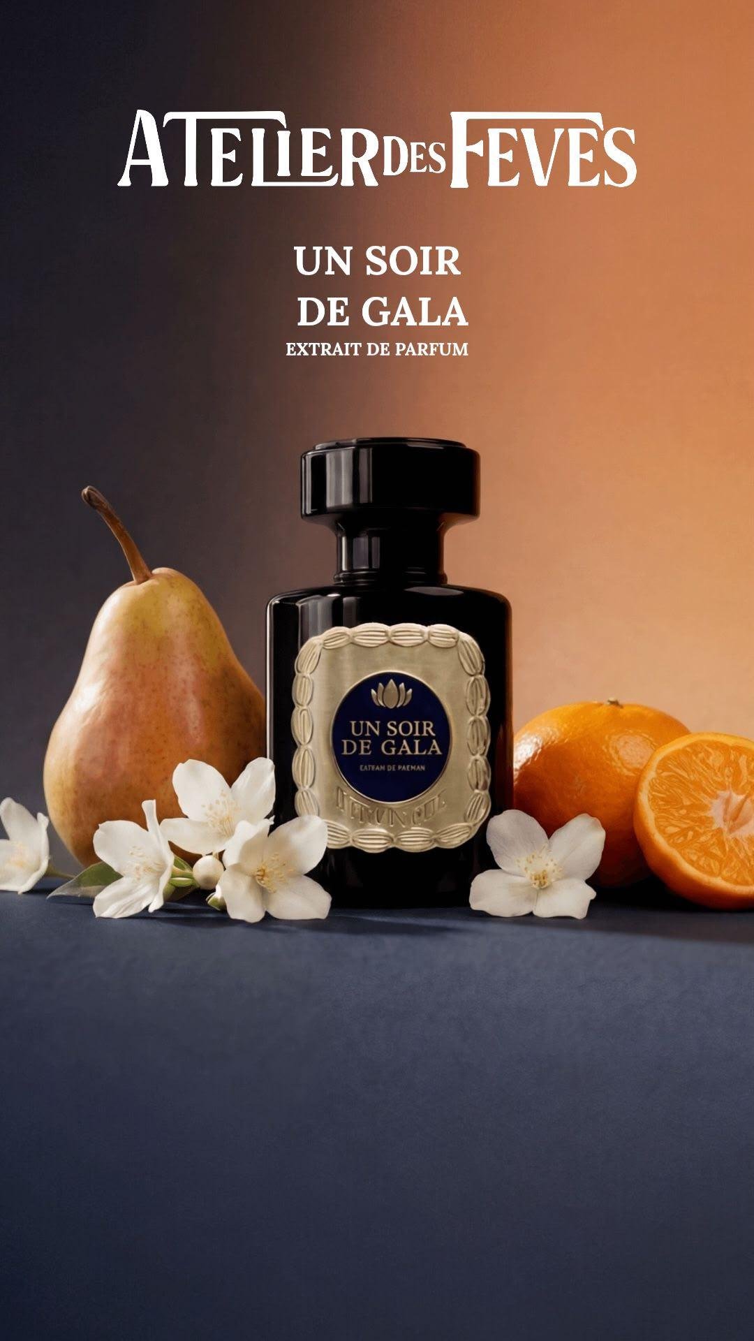Un soir de Gala